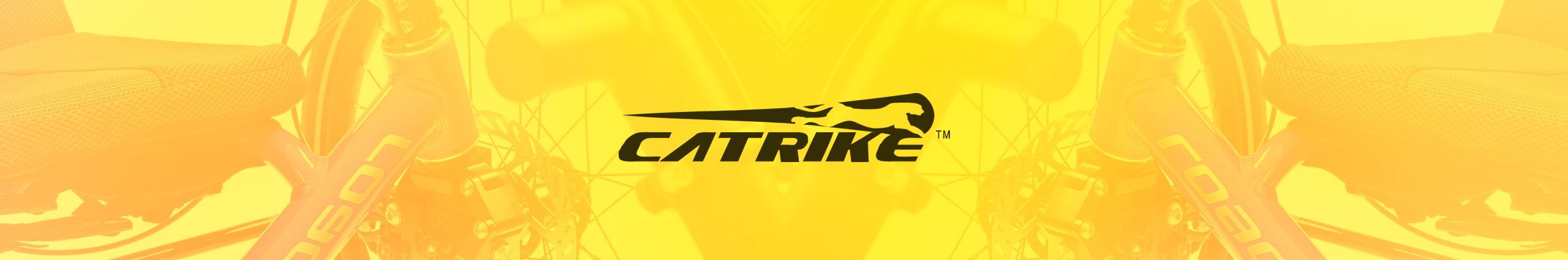 Catrike-bikes