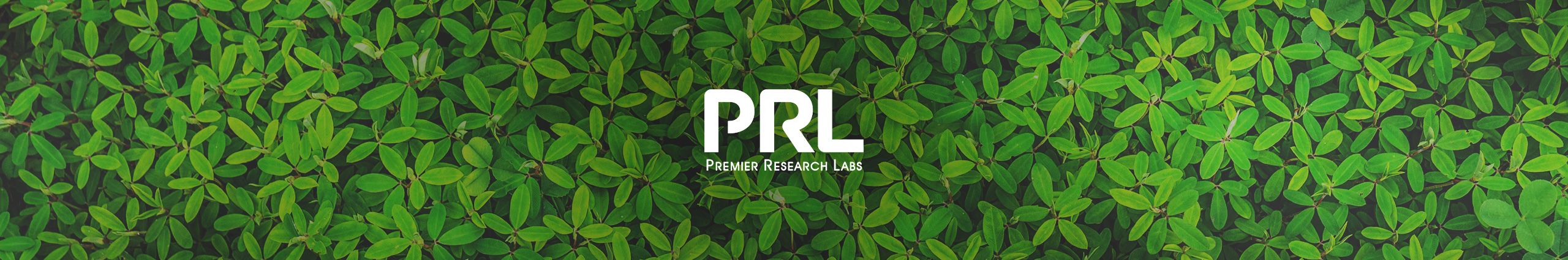 Premier-Research-Labs