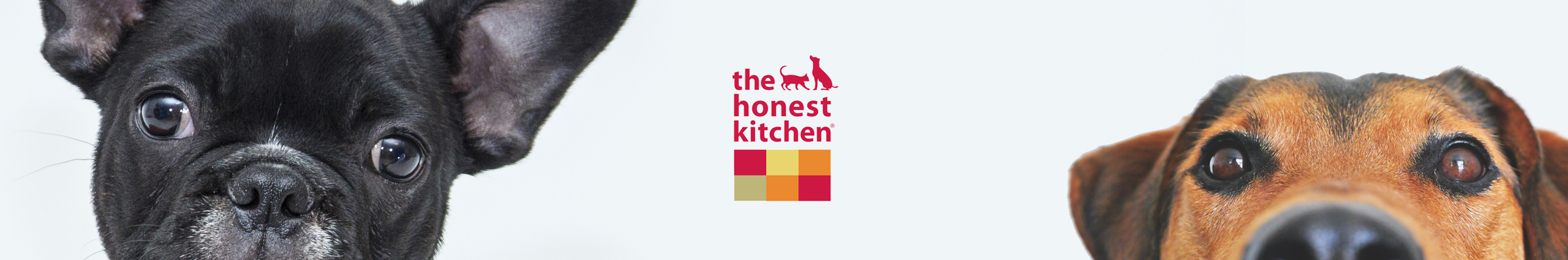 honest-kitchen-bannar