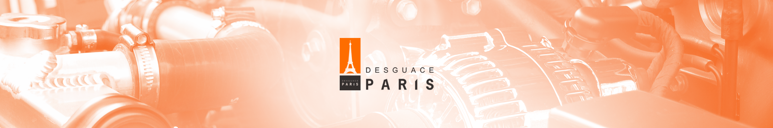Desguace-Paris-Case-Study.png Parrot-Case Study