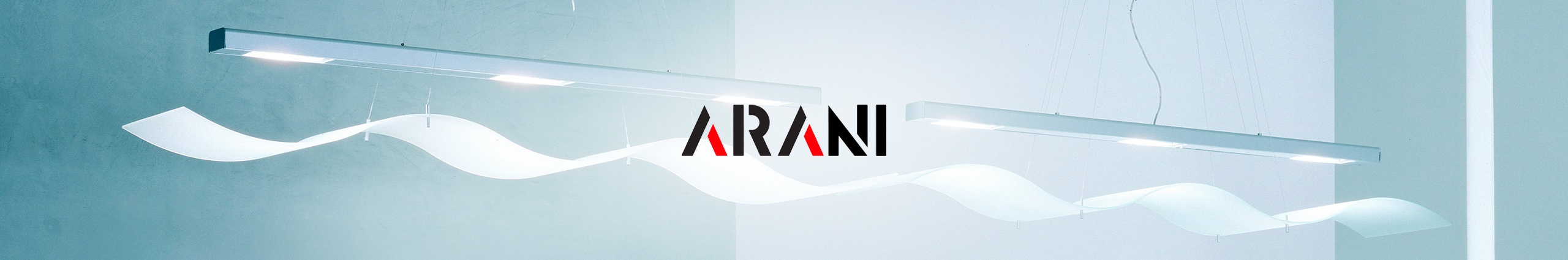 Arani-success-story Arani-success-story-APPSeCONNECT