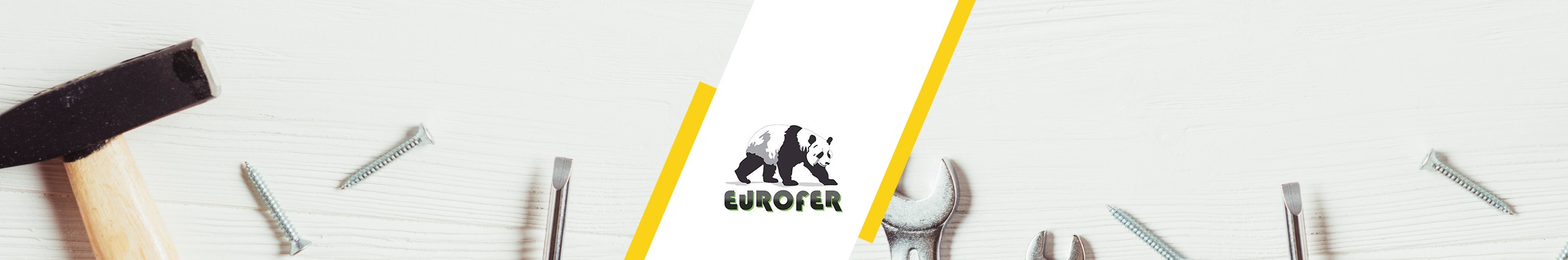 eurofer-APPSeCONNECT-success story eurofer-APPSeCONNECT-success story