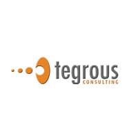 Tegrous Consulting