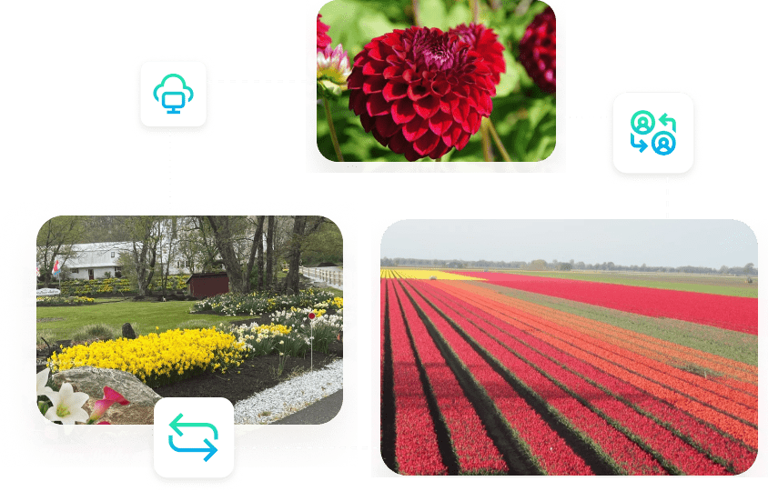 Ednie Flower Bulbs — APPSeCONNECT integration