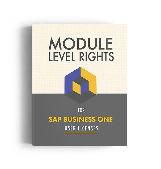 Module Level Rights For SAP Business One User Licenses — e-book cover