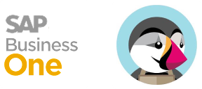 Dynamics AX Magento