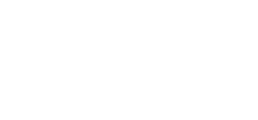 APPSeCONNECT customer logo