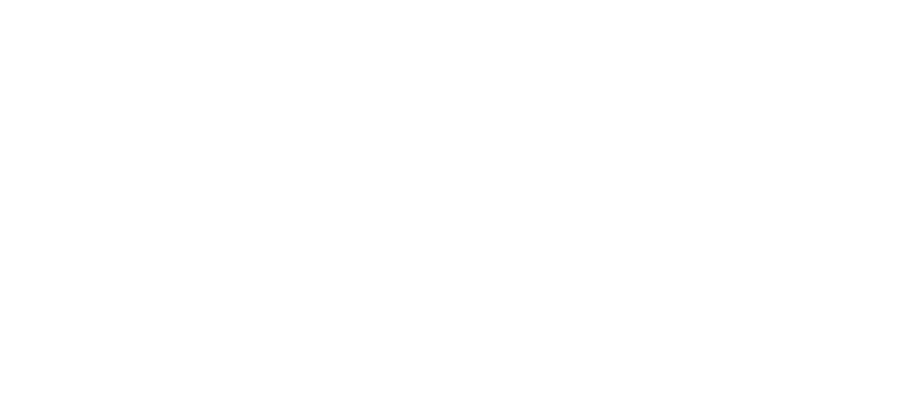 APPSeCONNECT customer logo
