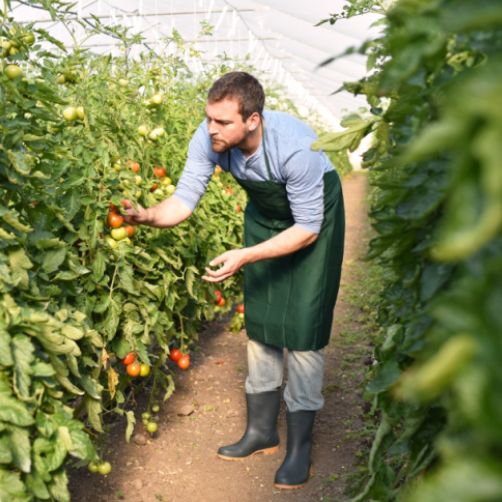 Australian Agribusiness Microsoft Dynamics 365 Fo With Magento Integration Success Story