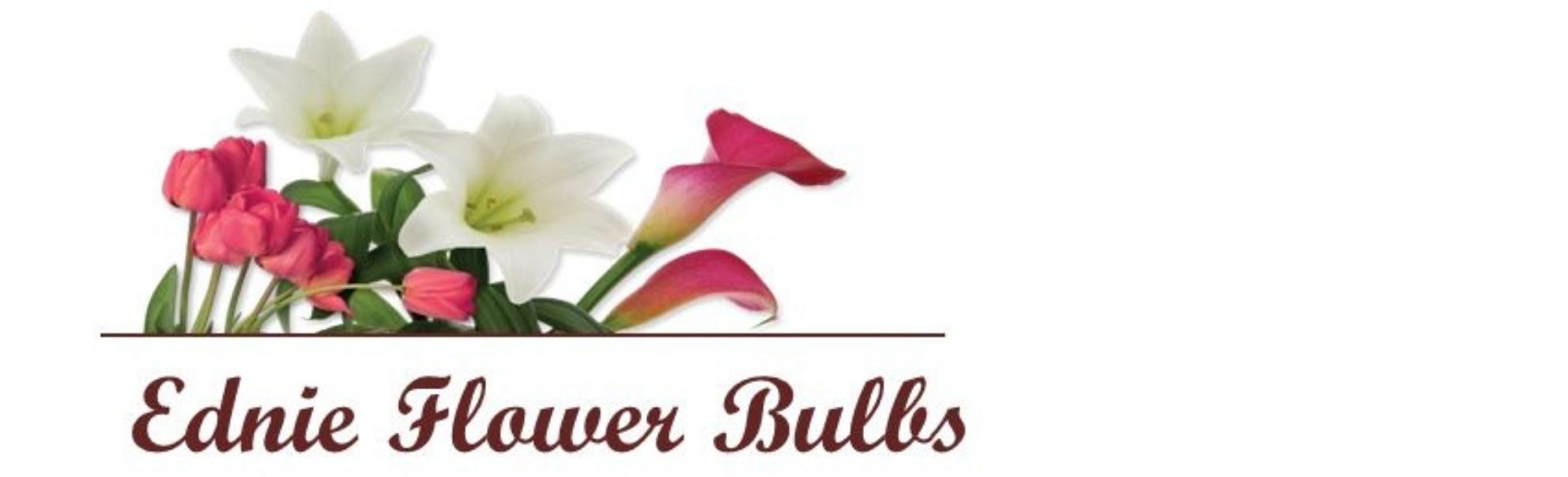 Ednie Flower Bulbs Sap B1 Prestashop Ecommerce Integration logo