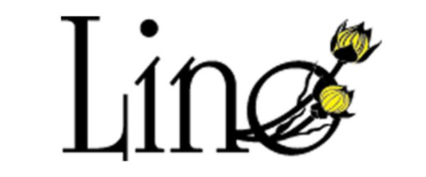 Lino Bv From Manual Data Management To Automated Operations logo