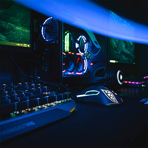 Shark Gaming