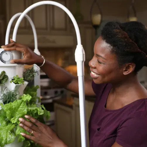 Tower Garden Usa Shopify And Sage 300 Integration Success Story