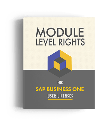 Module level rights for sap business one user licenses