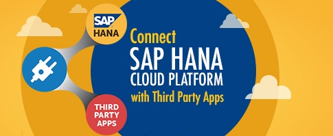 Connect SAP HANA Cloud Platform with third party application