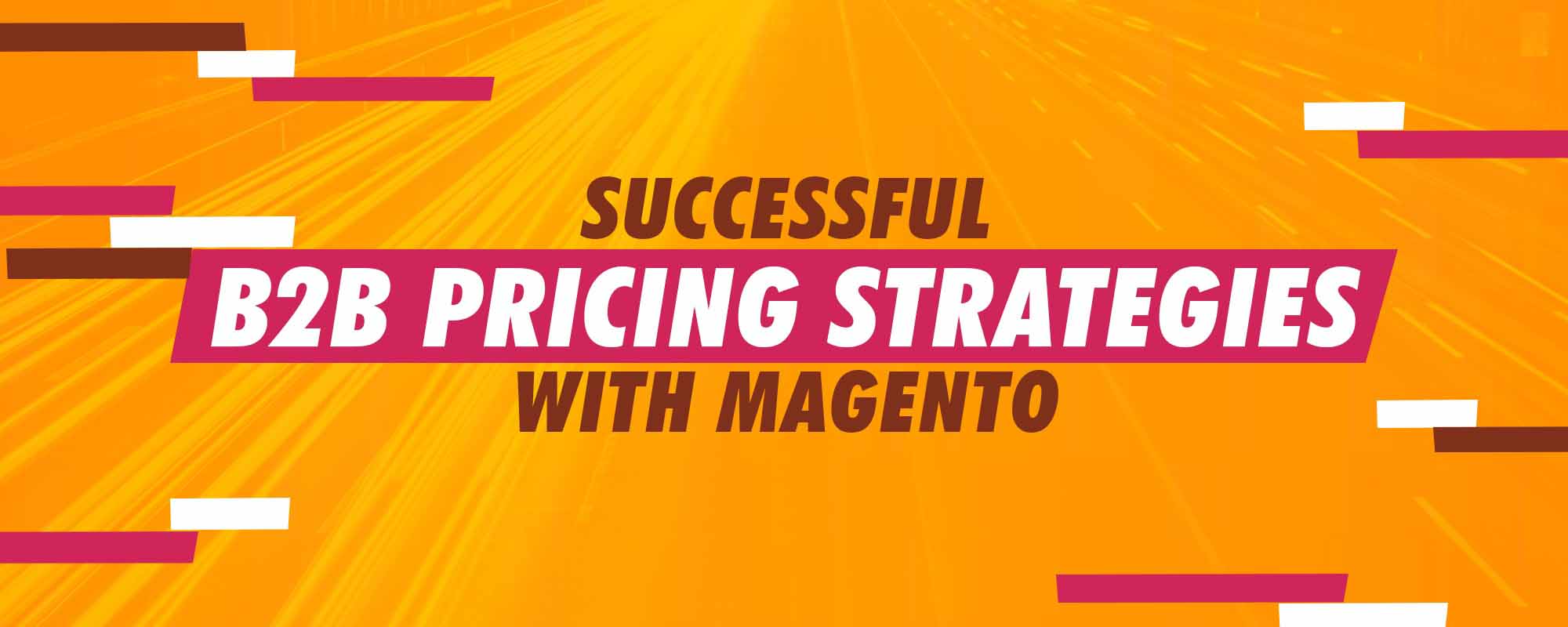 Successful B2B Pricing Strategies with Magento