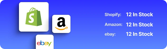Shopify 12 In Stock · Amazon 12 In Stock · eBay 12 In Stock