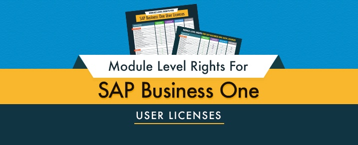 Sap Business One License Comparison Chart 9 3