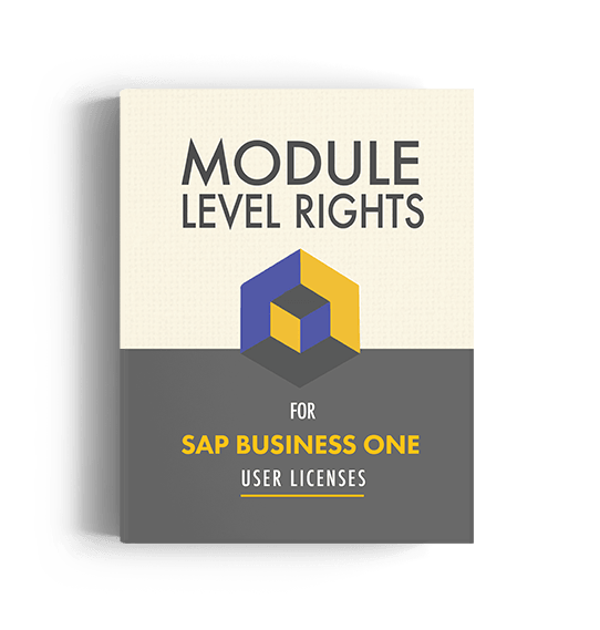 Module-Level-Rights-For-SAP-Business-One-User-Licenses-cover-book-cover-website