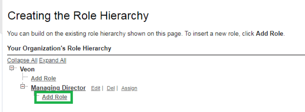 Creating-the-role-hierarchy