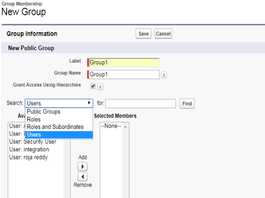 salesforce public group assignment object