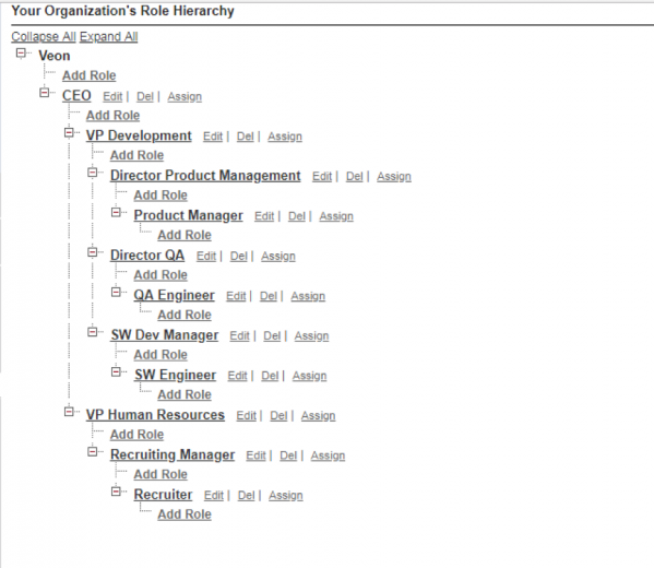 Understanding Roles in Salesforce | APPSeCONNECT