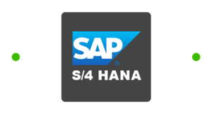SAP S/4 HANA - APPSeCONNECT