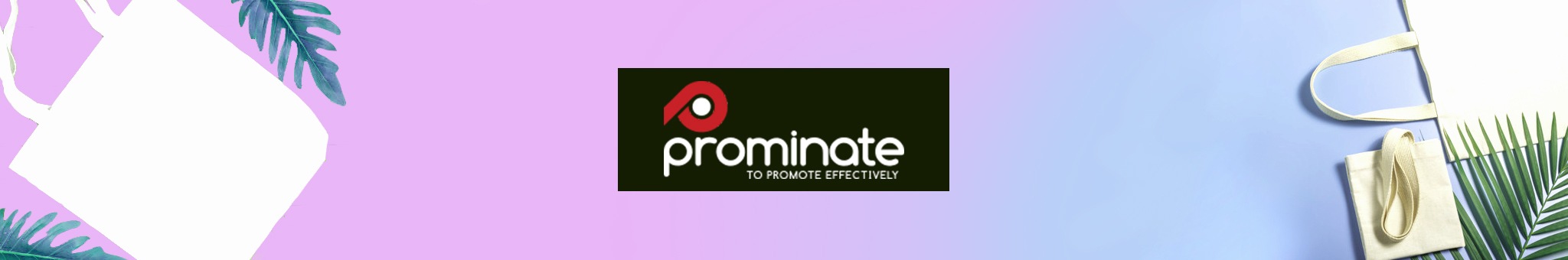 Prominate-APPSeCONNECT-Success story Prominate-APPSeCONNECT-Success story