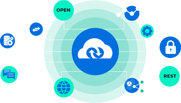 API Integration-web-page image API Integration