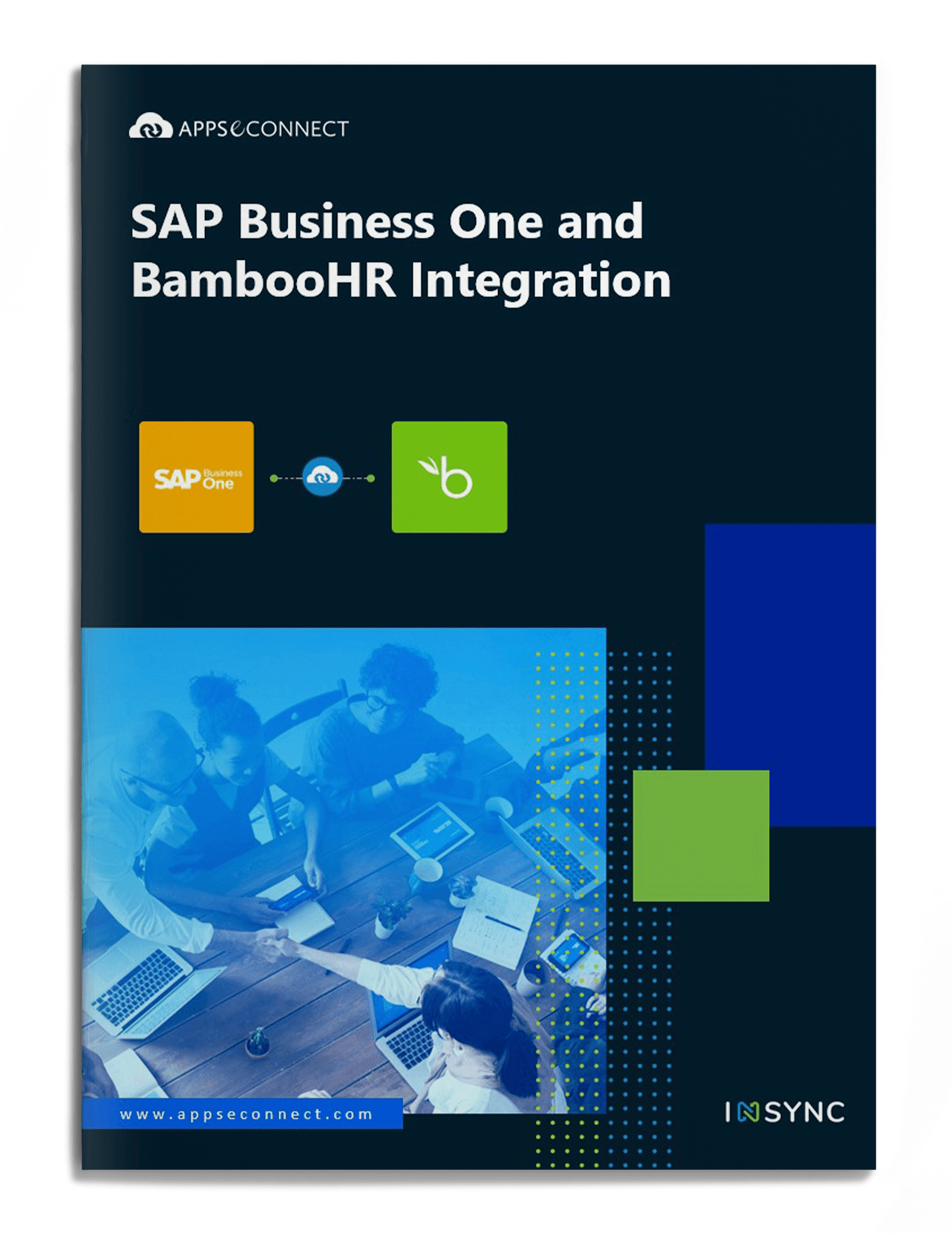 sap-business-one-bamboohr-integration-brochure-cover