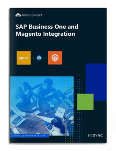 ecommerce sap business one ecommerce sap business one