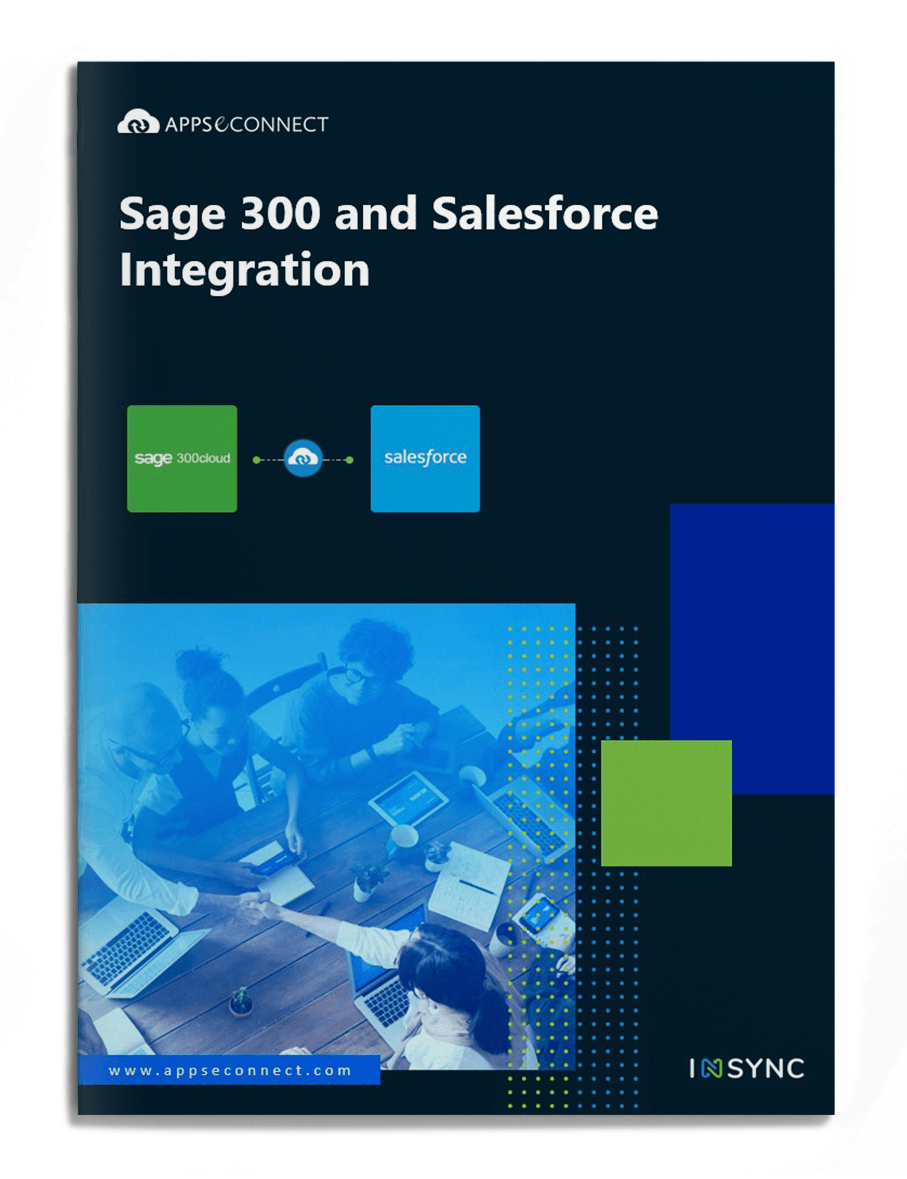 Sage 300 and Salesforce Integration Brochure