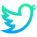 Twitter icon