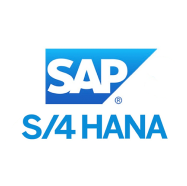 SAP S4 HANA img