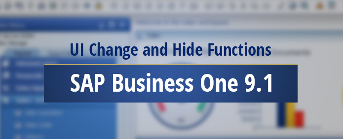 ui-change-hide-functions-sap-business-one-91