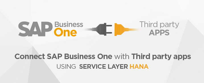 Webinar on SAP B1 HANA