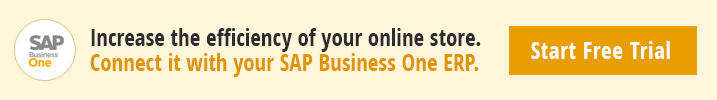 Connect Ecommerce with SAP B1