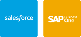salesforce-sap business one