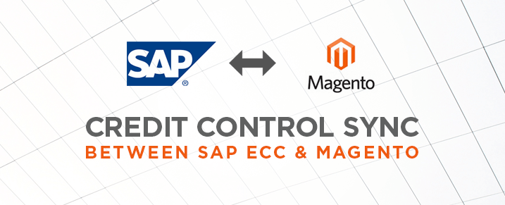 Credit Management for SAP Magento B2B Integration