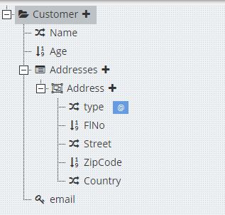 customer schema