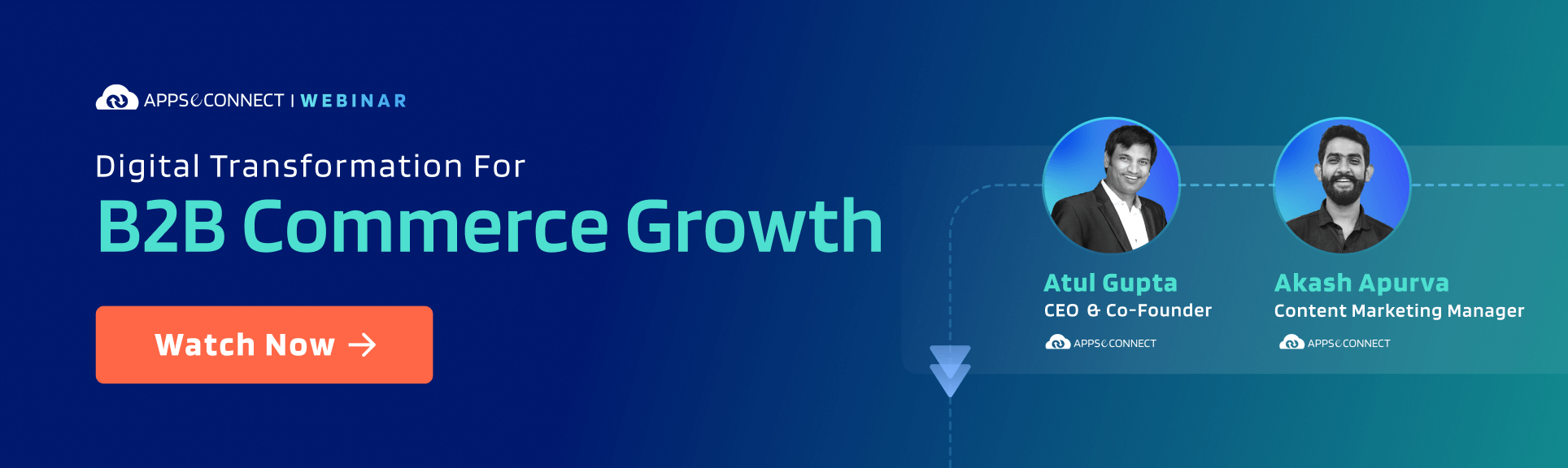 Webinar blog CTA B2B Commerce Growth