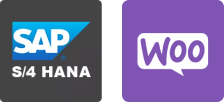 SAP S4 HANA WooCommerce