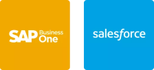SAP Business one Salesforce