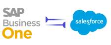 sap business one salesforce crm integration