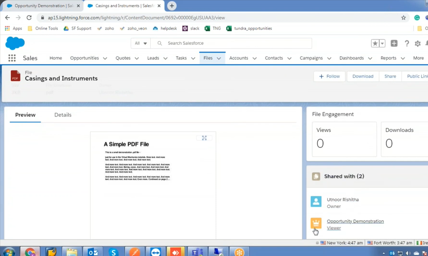 final-view-successful-salesforce-file-upload-using-REST-API