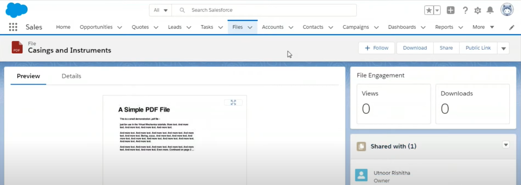 successful-salesforce-file-upload-with-REST-API