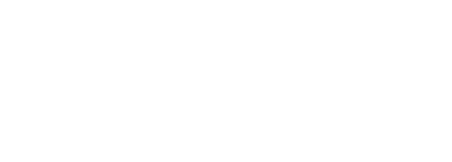 MAGENTO LOGO