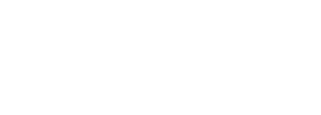 NETSUITE LOGO